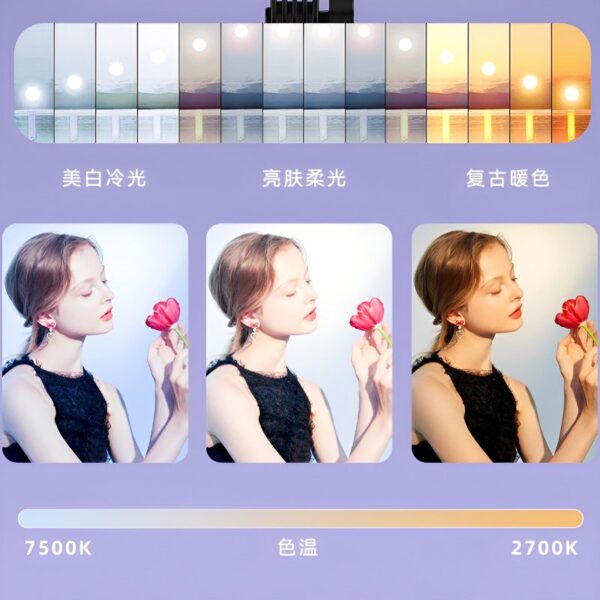 RL-16 Studio LED Rectangular Light Panel – Adjustable Color Temperature & Brightness with Remote Control - Image 8